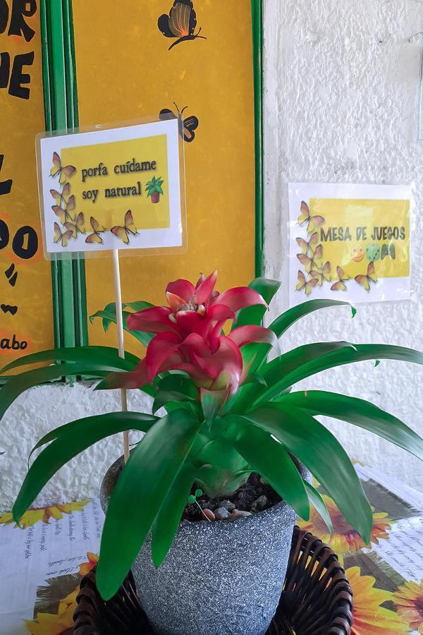 Hostal Gabo Bucaramanga Luaran gambar