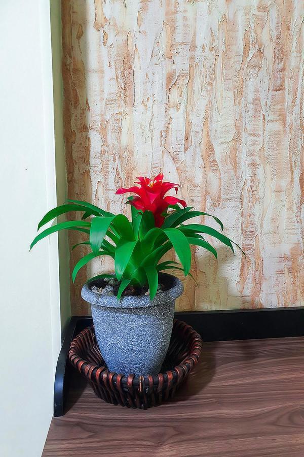 Hostal Gabo Bucaramanga Luaran gambar